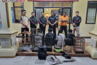 Kompak Maling Ayam, Bapak dan 4 Anaknya Ditangkap Polsek Metro Utara