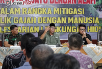 Gubernur Lampung Dorong Penanganan Terpadu Konflik Gajah-Manusia di Way Kambas