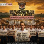 Desak APH Usut Tuntas Tambang Emas Ilegal di Way Kanan, Ketua BRIM 08 : Kami Akan Minta DPP Atensi ke Presiden